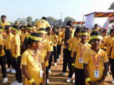 Plants: image 1 0f 4 thumb